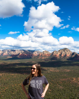 Where Are You Going Next Travel T-shirt